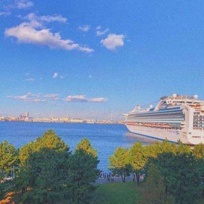 助赢软件app手机app下载